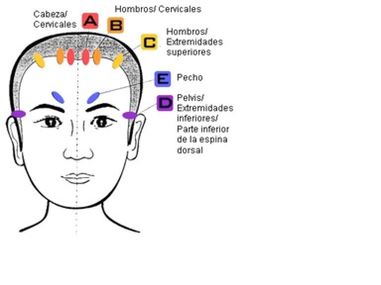 Acupuntura Yamamoto Zona Sur