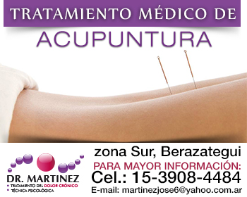 Acupuntura Zona Sur